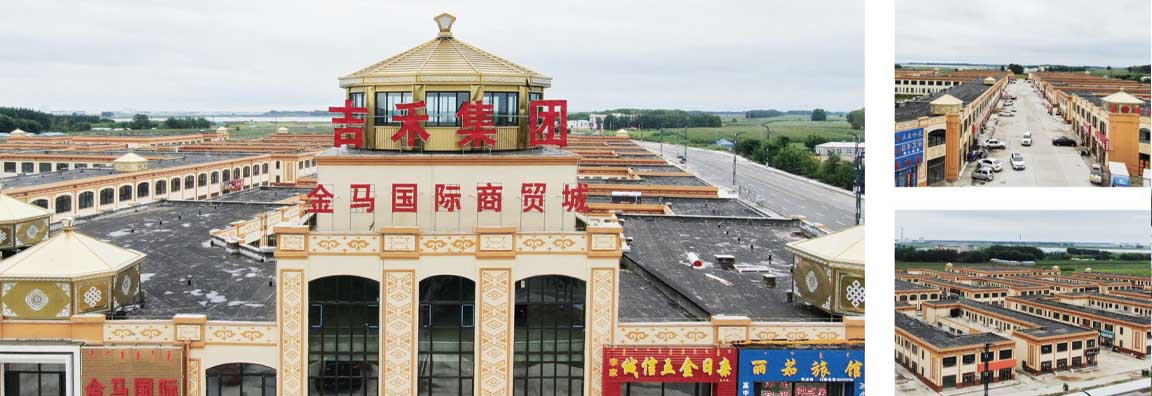 杜尔伯特蒙古族自治县城配市综合送中心项目